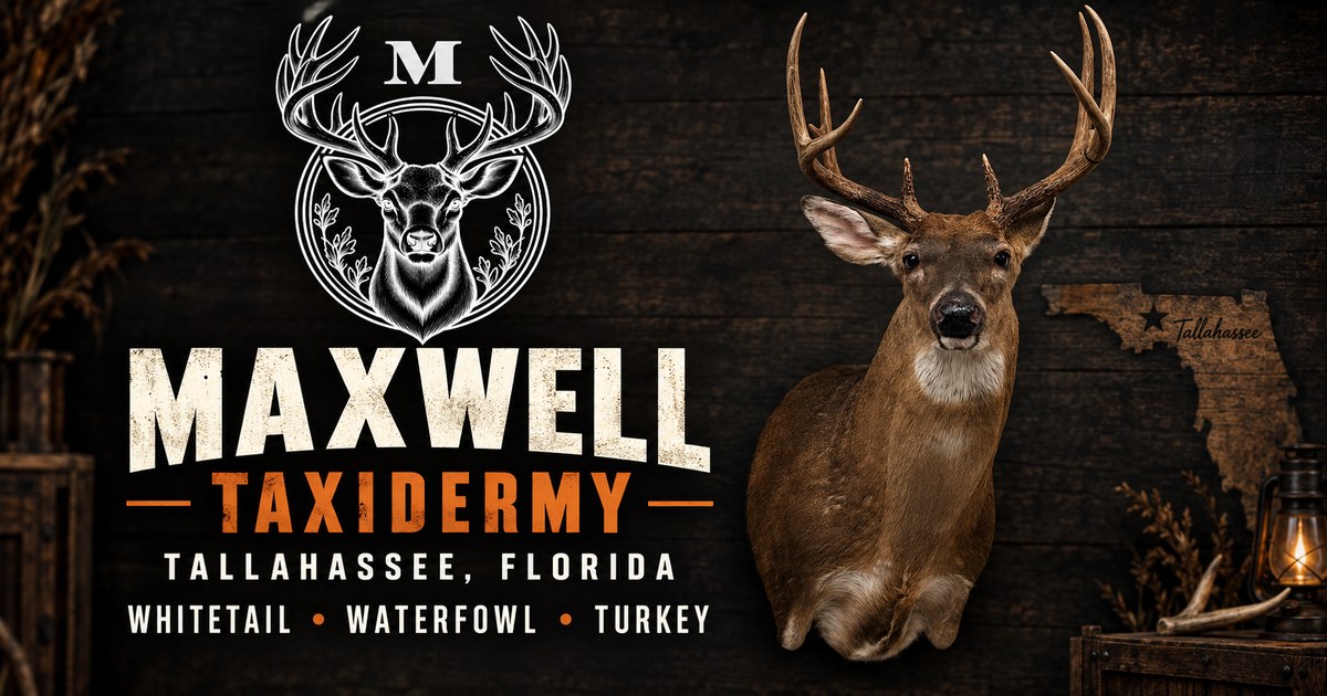 Maxwell Taxidermy website